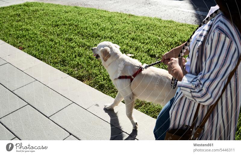 Junge Frau geht mit ihrem Hund auf dem Bürgersteig spazieren Hunde gehen gehend Gassi gehen Gassigehen weiblich Frauen Haustier Haustiere Tier Tierwelt Tiere