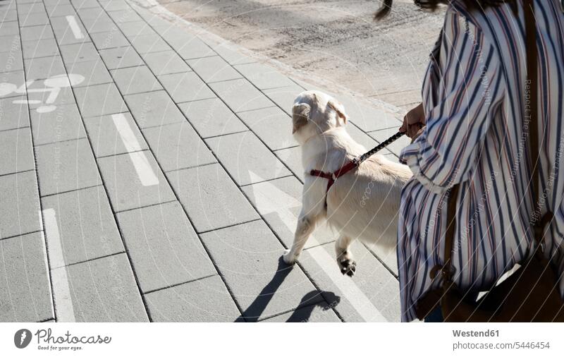 Junge Frau geht mit ihrem Hund auf dem Bürgersteig spazieren Hunde Gehsteig Gehwege Gehsteige Bürgersteige Straßenpflaster Trottoir Gassi gehen Gassigehen