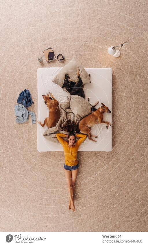 Frau liegt mit Hunden am Boden ihres Bettes Betten Teilen Sharing kuscheln schmusen knuddeln tierlieb Tierliebe Buch Bücher liegen liegend Haustier Haustiere