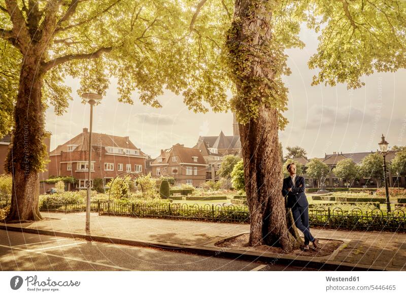 Niederlande, Venlo, an einen Baum gelehnter Geschäftsmann stehen stehend steht anlehnen angelehnt lehnend Stadt staedtisch städtisch Businessmann Businessmänner