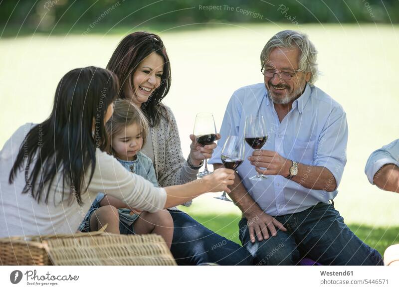 Fröhliche Großfamilie beim Picknick und beim Anstossen mit Rotweingläsern Familie Familien Wein Weine Generationen Rotweine picknicken Mensch Menschen Leute