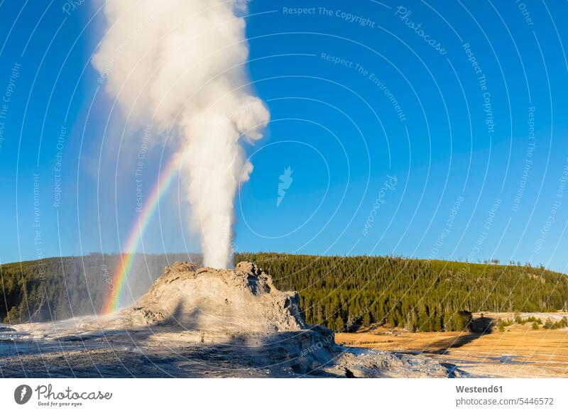 USA, Wyoming, Yellowstone-Nationalpark, Oberes Geysir-Becken, Ausbruch des Castle Geysers Bewegung sich bewegen Dampf Rauch Außenaufnahme draußen im Freien