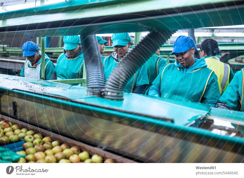 Frauen arbeiten in einer Apfel-Fabrik gemischtrassige Person Automatisierung Industrie industriell Gewerbe Industrien Gruppe Gruppe von Menschen Menschengruppe