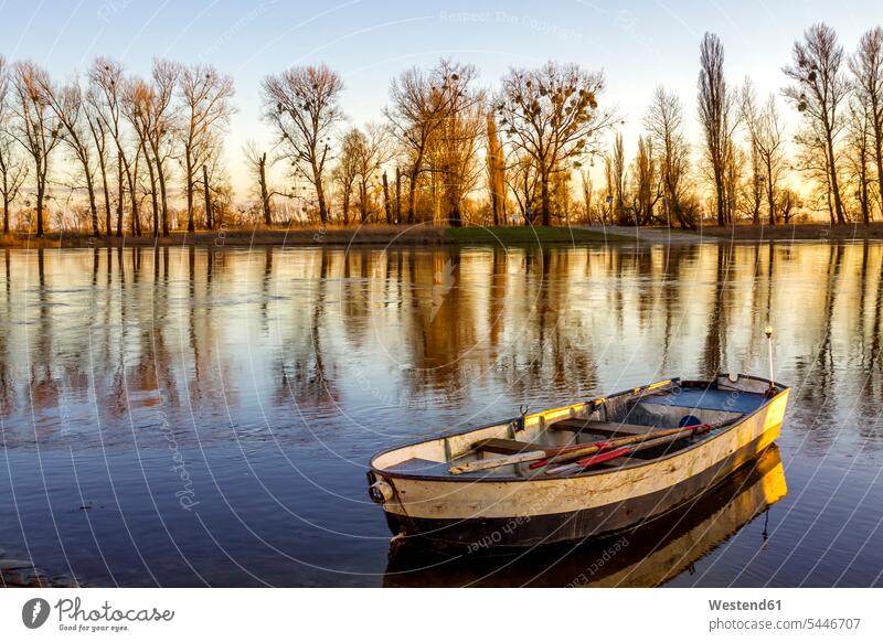Deutschland, Sachsen, Elbe mit Ruderboot am Vormittag Schönheit der Natur Schoenheit der Natur Morgenstimmung Morgenhimmel Ruderboote morgens früh Frühe