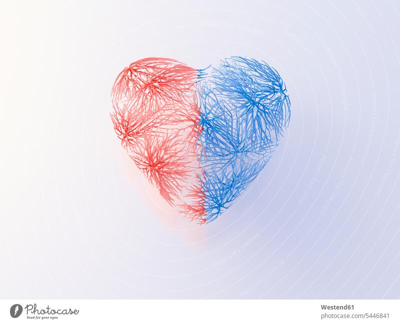 Herz mit roten und blauen Venen Idee Ideen Eingebung Wachsen Wachstum Gemeinsamkeit zusammen gemeinsam Herzen positiv Arterie Pulsadern Menschliche Arterien
