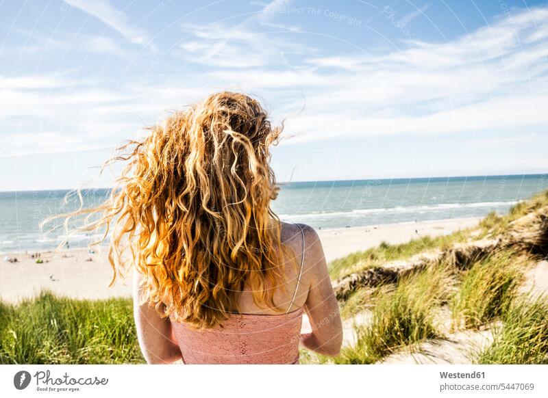 Niederlande, Zandvoort, Frau in den Dünen stehend Sanddüne Sanddünen steht weiblich Frauen Strand Beach Straende Strände Beaches Duenen Erwachsener erwachsen