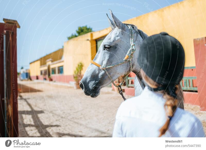 Bildnis eines Pferdes mit Rückenansicht einer Frau mit Reithelm Equus caballus Reiterhelm Säugetier Mammalia Saeugetiere Säugetiere Tier Tierwelt Tiere Reiterin