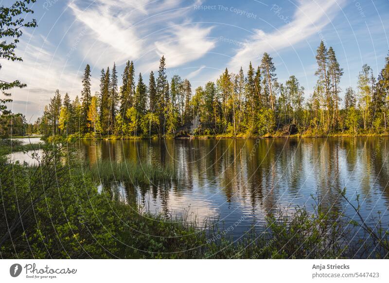 See an der Via Karelia in Finnland Abendstimmung Reflexion & Spiegelung Federwolken Wasser Angeln Sonnenlicht Urlaub Camping Suomussalmi ruhige szene Seeufer