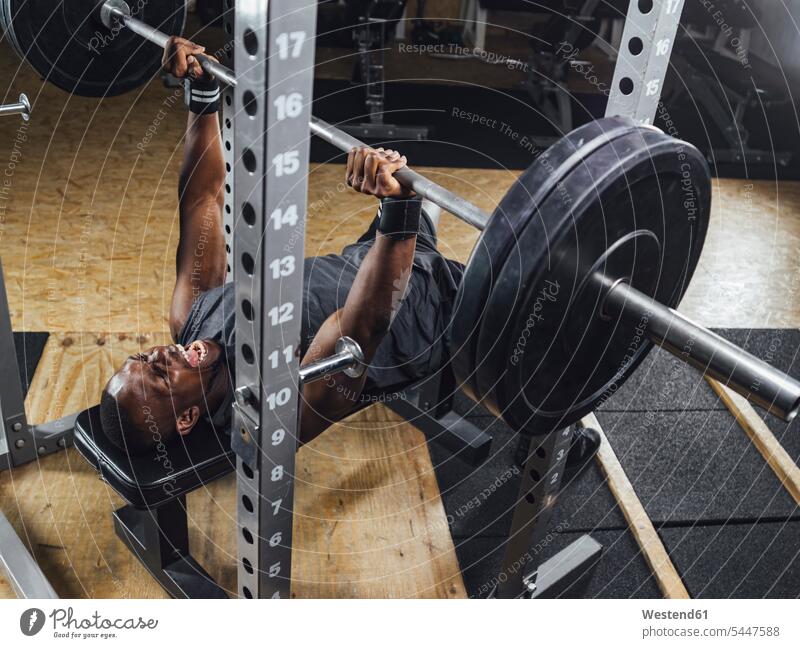 Sportler im Fitnessstudio beim Gewichtheben Gewichte Muskeln muskulös athletisch Fitnessclubs Fitnessstudios Turnhalle trainieren schreien rufen rufend Schrei