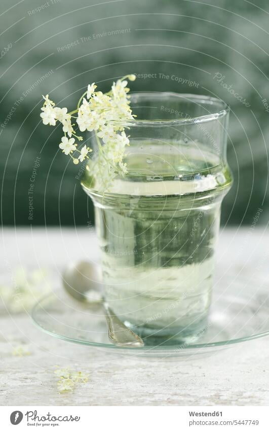Glas Wasser mit Holunderblütensirup aromatisiert Blüte Bluete Blueten Blütenkopf blühen natürlich Natuerlichkeit natuerlich Natürlichkeit flüssig Flüssigkeit