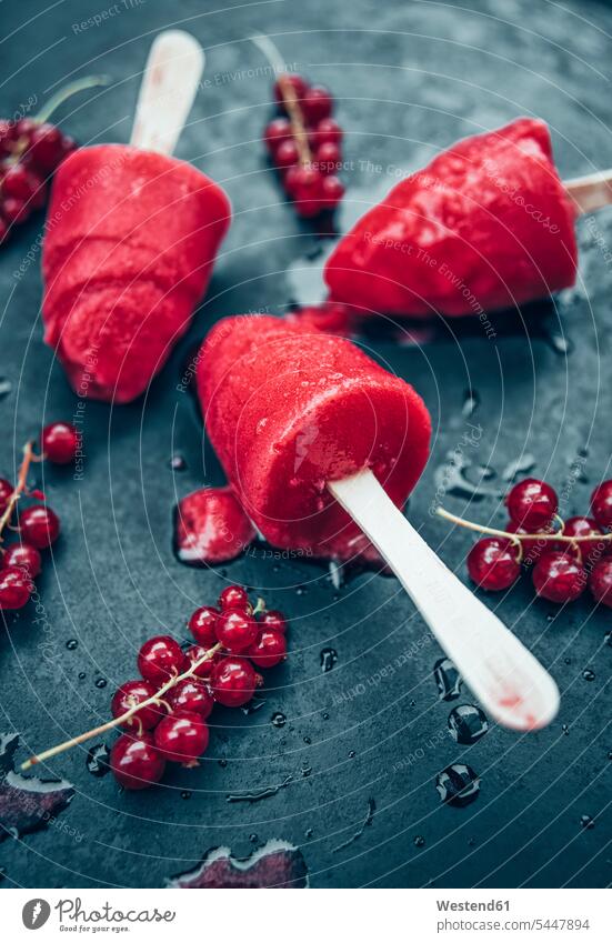 Hausgemachte Johannisbeer-Popsicles und rote Johannisbeeren auf Schiefer roter rotes Versuchung süß Süßes Eis Speiseeis fruchtig Fruchteis Früchteeis