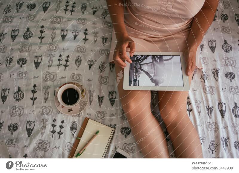 Frau sitzt im Bett und schaut sich Fotos auf dem Tablett an sitzen sitzend Tablet Computer Tablet-PC Tablet PC iPad Tablet-Computer Betten weiblich Frauen Bild