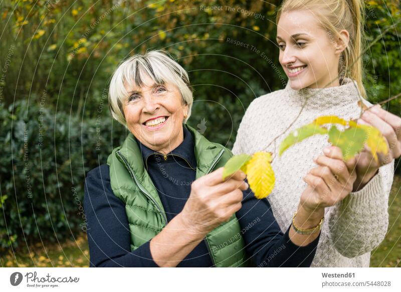 Glückliche junge Frau mit ihrer Großmutter, die einen Zweig im Garten hält Grossmutter Oma Grossmama Großmütter Omi glücklich glücklich sein glücklichsein
