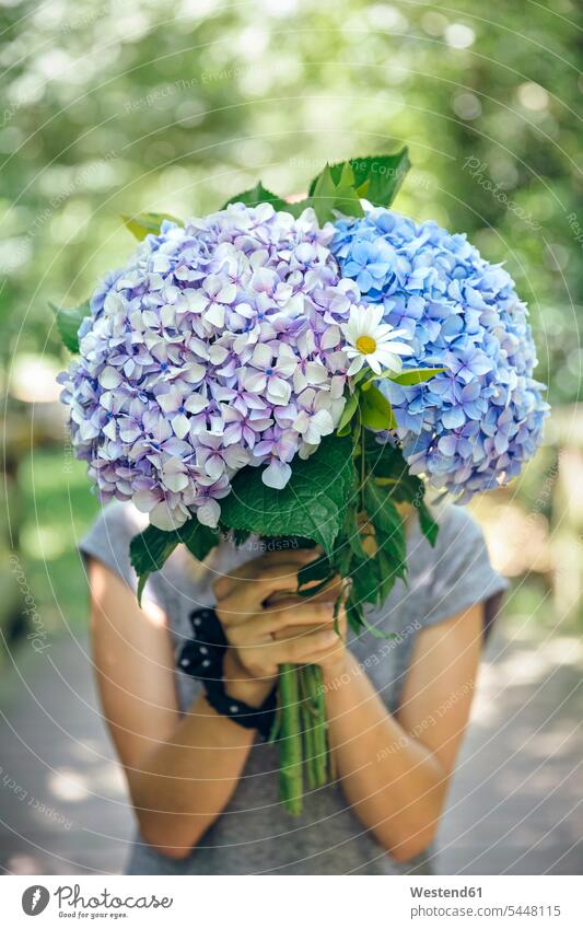 Unerkennbare junge Frau versteckt sich hinter einem Strauss Hortensien halten weiblich Frauen Blumenstrauß Bouquet Blumenstrauss Blumensträusse Blumensträuße