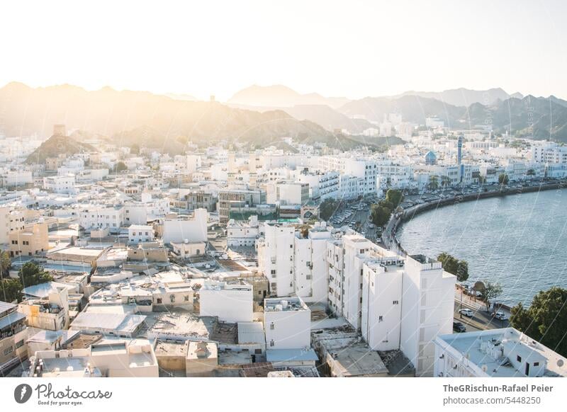 Sicht von oben auf Muskat (Oman) Stadt Arabische Halbinsel Häuser orientalisch Ornamente Architektur Baustil Gebäude Tourismus Tag Haus Farbfoto alt Tradition