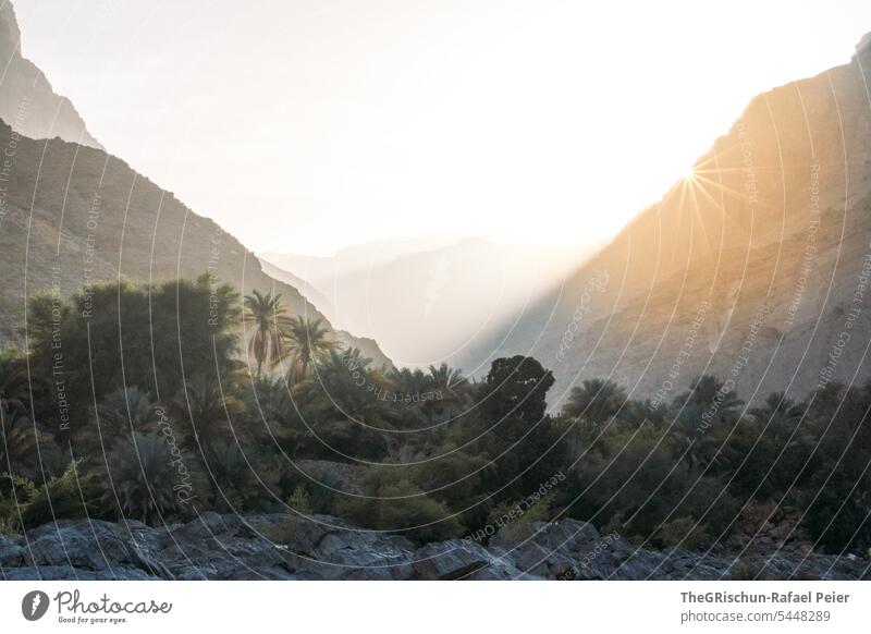 Sonne geht hinter Berg unter - Vorne Palmen, hinten Berge Wadi Natur trocken Ferien & Urlaub & Reisen Tourismus beliebt Oman Klippe Schlucht Himmel Farbfoto