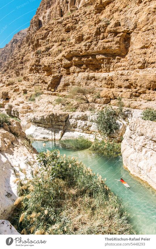 Frau schwimmt in einem Fluss (Wadi) im Oman Wadi shab Natur Sand trocken Ferien & Urlaub & Reisen klares Wasser Tourismus Schwimmen & Baden beliebt Klippe