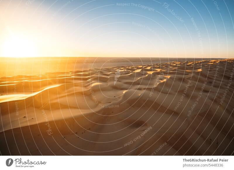 Sonnenaufgang über der Wüste Sonnenlicht Gegenlicht Sand Außenaufnahme Farbfoto Natur Tourismus Wahiba Sands Oman omanische Wüste Landschaft