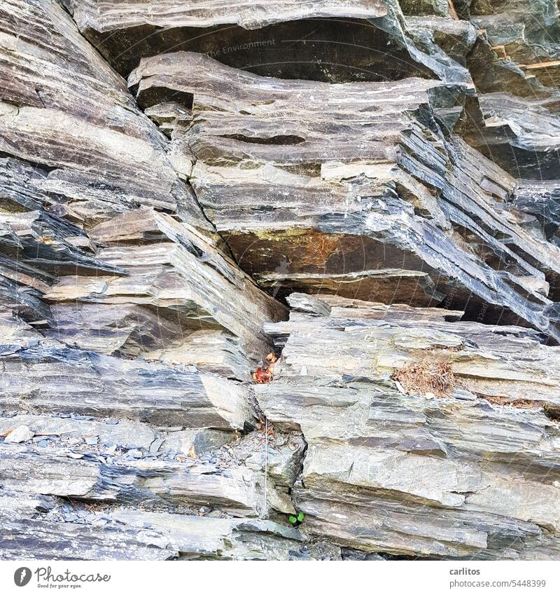 Gesteinsschichten im Harz |frühgeschichtlicher Zeitungsstapel Gesteinschichten Schichten Ablagerungen Geologie Natur Felsen Stein Landschaft natürlich