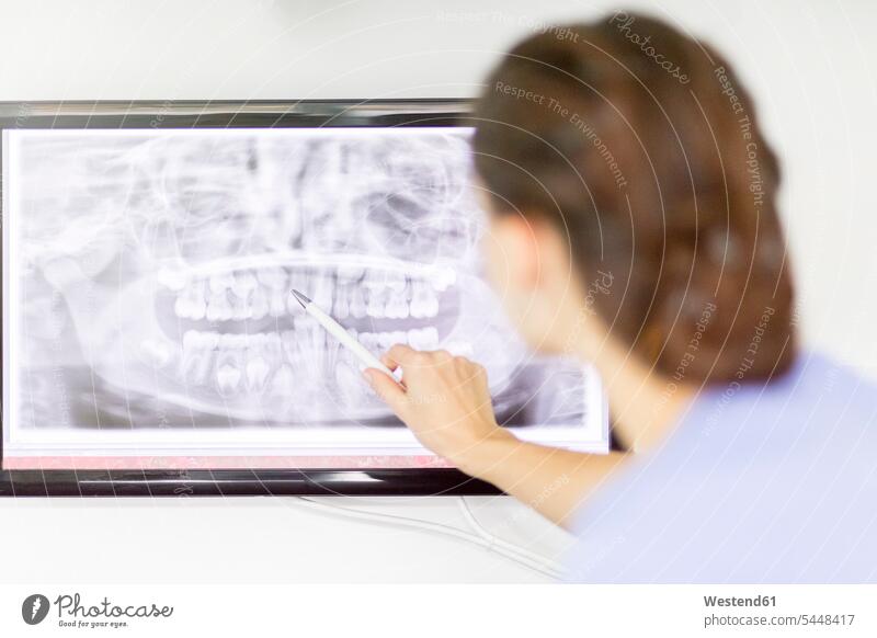 Zahnärztin untersucht Röntgenbild von Zähnen auf dem Bildschirm Roentgenbild Roentgenbilder Röntgenbilder untersuchen prüfen Zahnärztinnen Dentistin
