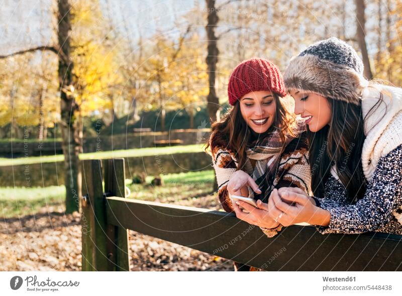 Zwei hübsche Frauen benutzen ein Smartphone in einem herbstlichen Wald Freundinnen weiblich schön iPhone Smartphones Forst Wälder Herbst Freunde Freundschaft