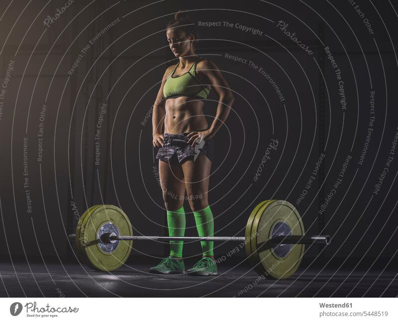 Junge Frau bereitet sich darauf vor, Langhantel zu heben Gewichtheben weiblich Frauen Fitnessstudio Fitnessclubs Fitnessstudios Turnhalle Kraftsport Sport