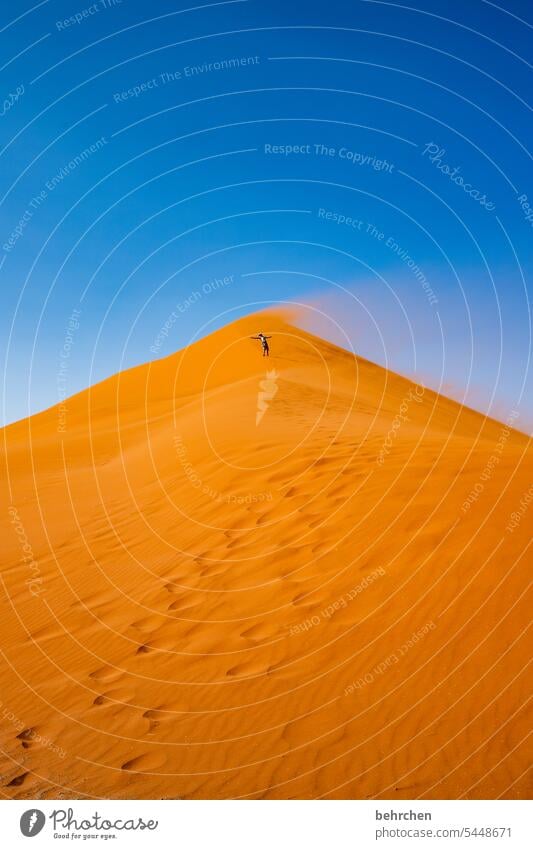 windschief Düne 45 allein Mann Mensch Sandsturm Sossusvlei Namibia Ferne Afrika Wüste dune 45 Sesriem Fernweh reisen Farbfoto Landschaft Einsamkeit Abenteuer