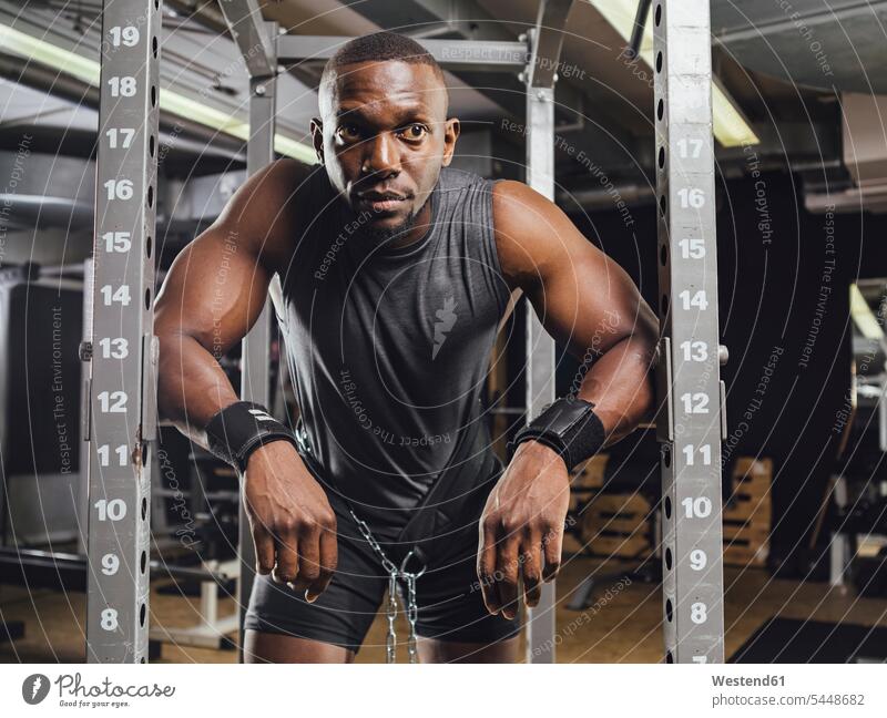 Sportler im Fitnessstudio beim Gewichtheben muskulös Muskeln athletisch Fitnessclubs Fitnessstudios Turnhalle trainieren Mensch Menschen Leute People Personen