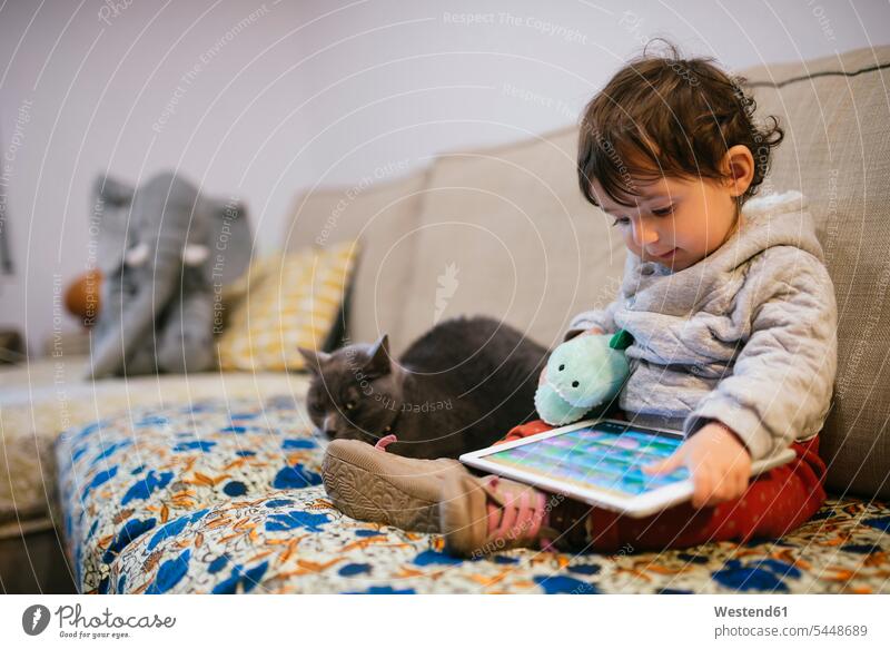 Kleines Mädchen sitzt auf der Couch und schaut sich mit einer Katze Videos auf einem Tablett an weibliche Babys weibliches Baby weibliche Babies Videofilm