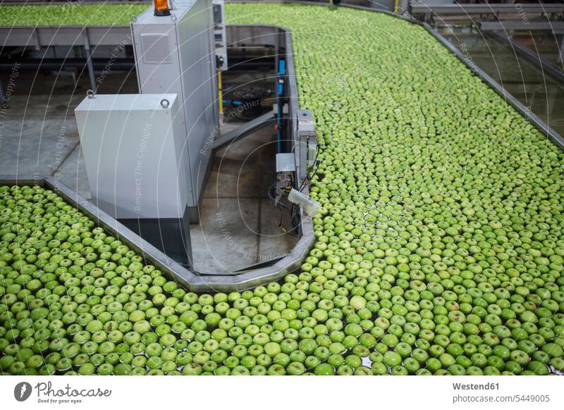 Grüne Äpfel in der Fabrik werden gewaschen Food and Drink Lebensmittel Essen und Trinken Nahrungsmittel grüner Apfel grüne Äpfel Industrie industriell Gewerbe