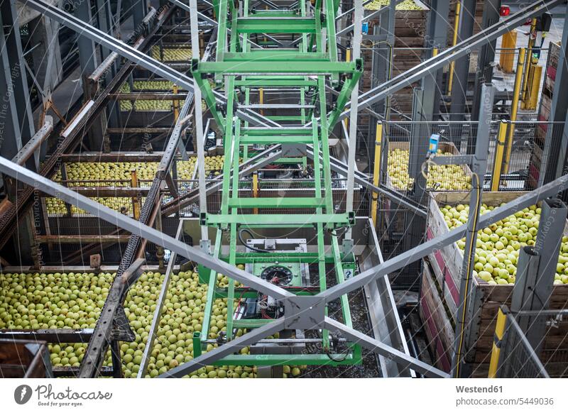 Äpfel in der Fabrik werden verpackt grün Lebensmittelindustrie Ernährungsindustrie Nahrugsmittelindustrie Maschine Maschinen Automatisierung