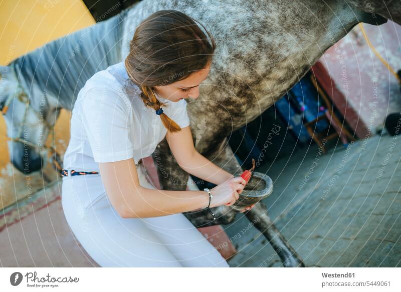 Junge Frau putzt Pferdehuf Equus caballus Huf Hufe weiblich Frauen Säugetier Mammalia Saeugetiere Säugetiere Tier Tierwelt Tiere Tierfuß Tierfuss Fuß Tierfuesse
