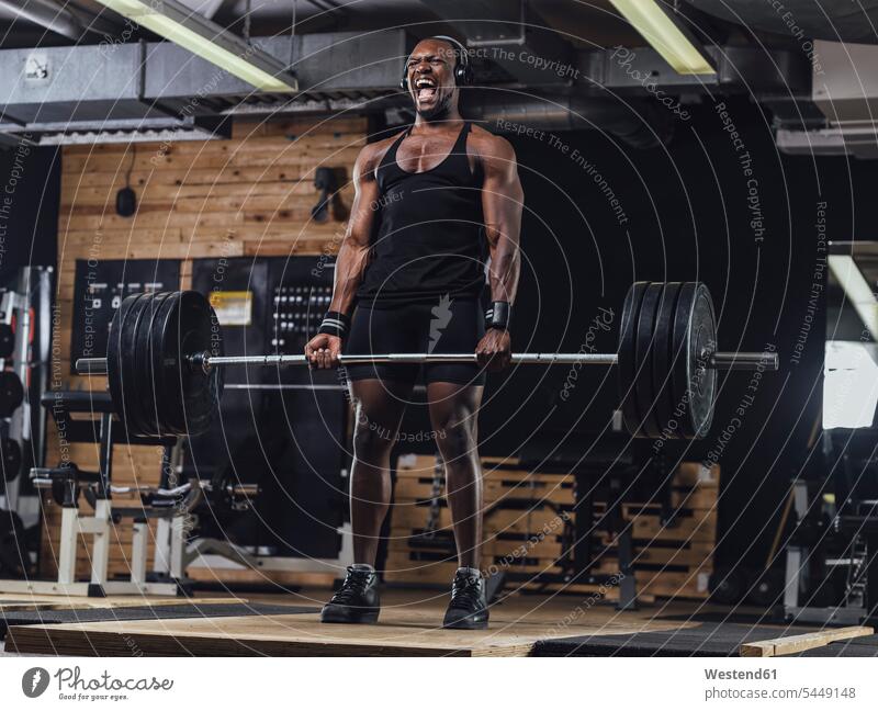 Sportler im Fitnessstudio beim Gewichtheben Gewichte Muskeln muskulös athletisch Fitnessclubs Fitnessstudios Turnhalle trainieren schreien rufen rufend Schrei