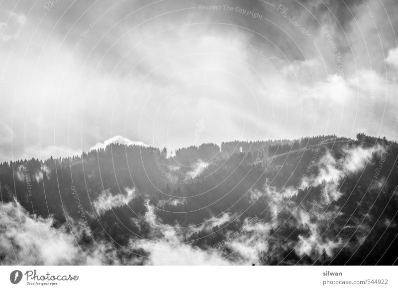 wolkenbehangener Nebelwald Geburtstag Landschaft Himmel Wolken Herbst Schönes Wetter Wind Wald bedrohlich gruselig kalt Stimmung gefährlich Abenteuer Plaffeien