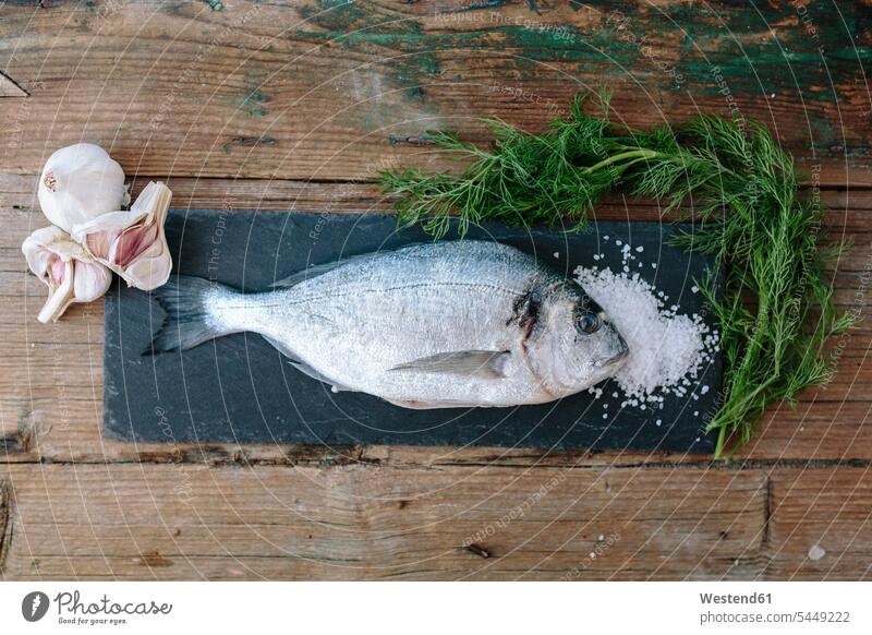 Meerbrasse auf Schiefertafel mit Dill, Salz und Knoblauch Fisch Speisefisch Speisefische Gurkenkraut Anetum Graveolens hölzern zubereiten kochen