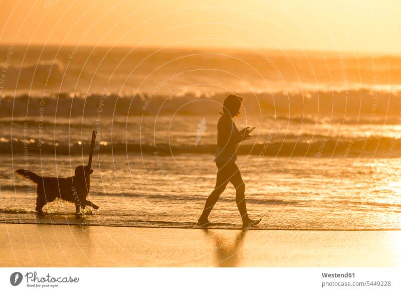 Indonesien, Bali, Silhouette einer Frau, die bei Sonnenuntergang mit ihrem Hund am Strand spazieren geht Beach Straende Strände Beaches gehen gehend Umriß