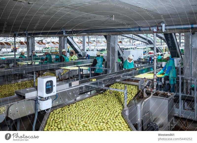 Menschen, die in einer Apfel-Fabrik arbeiten Südafrika Frau mittleren Alters Frauen mittleren Alters authentisch Authentizität automatisiert grüner Apfel