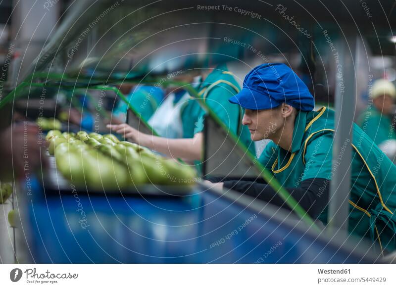 Frauen arbeiten in einer Apfel-Fabrik Fabrikgebäude Fabrikgebaeude Fabriken Arbeit weiblich Äpfel Aepfel Industrie industriell Gewerbe Industrien Erwachsener