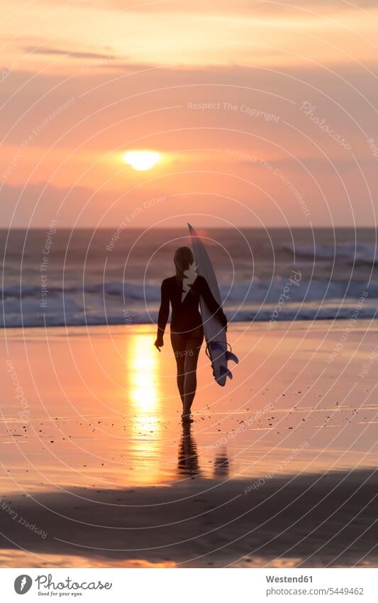 Indonesien, Bali, junge Frau mit Surfbrett bei Sonnenuntergang Abend abends Silhouette Umriß Gegenlicht Schattenbilder Silhouetten Konturen Umriss Umrisse