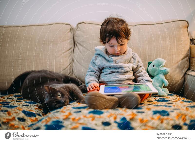 Kleines Mädchen sitzt auf der Couch und schaut sich mit einer Katze Videos auf einem Tablett an Tablet Computer Tablet-PC Tablet PC iPad Tablet-Computer