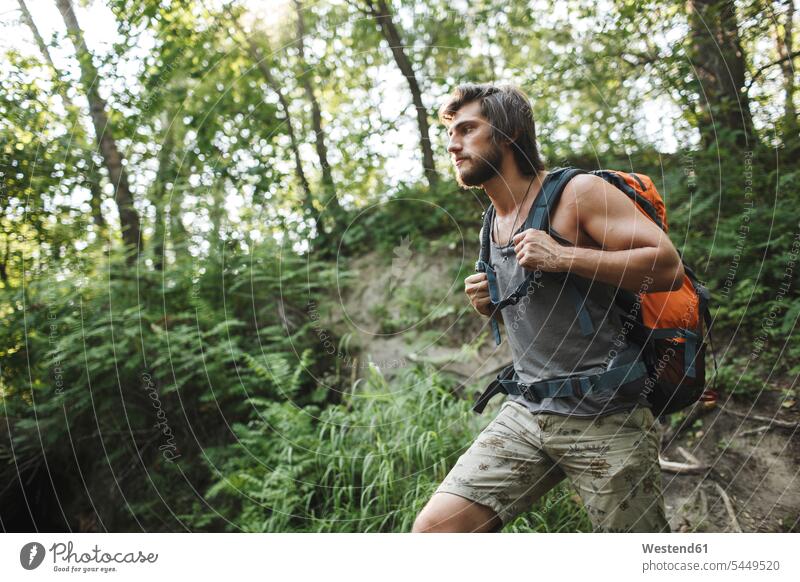 Junger Mann wandert im Wald Wanderer Forst Wälder Männer männlich wandern Wanderung Erwachsener erwachsen Mensch Menschen Leute People Personen Natur aktiv