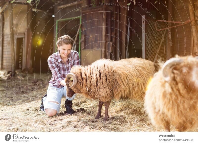 Lächelnde Frau kümmert sich um Schafe auf einem Bauernhof Ovis weiblich Frauen lächeln Farmen Bauernhoefe Bauernhöfe Fürsorge kümmern fürsorglich Pflege Tier