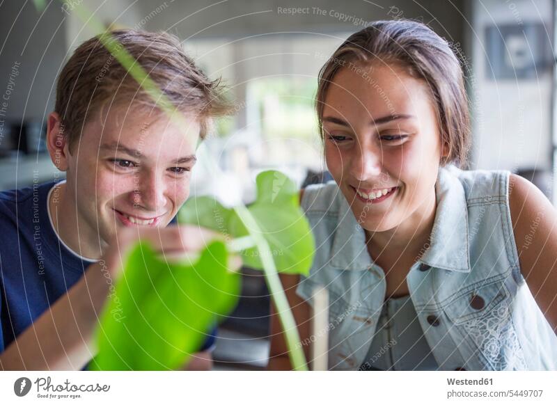 Junge und Mädchen untersuchen Pflanze lernen lächeln Schüler Schulkind Schueler Schulkinder Bildung Ausbildung Zuhause zu Hause daheim Freunde Tag am Tag