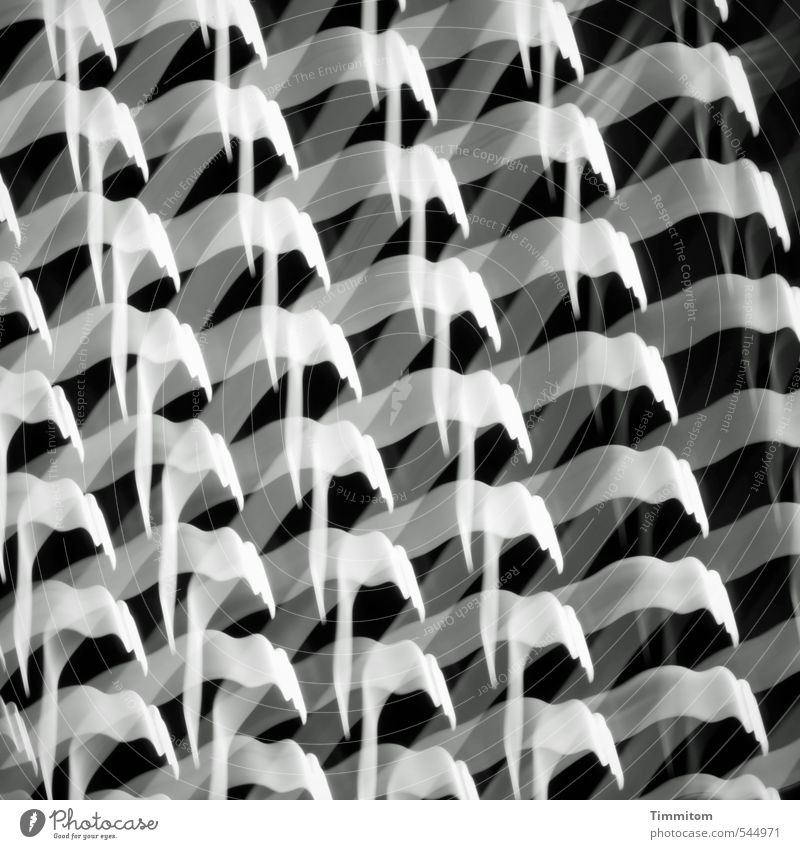 Verdichtung. Fenster Rollladen Kunststoff Bewegung Spielen ästhetisch einfach grau weiß Muster Wiederholung Licht Strukturen & Formen Schwarzweißfoto
