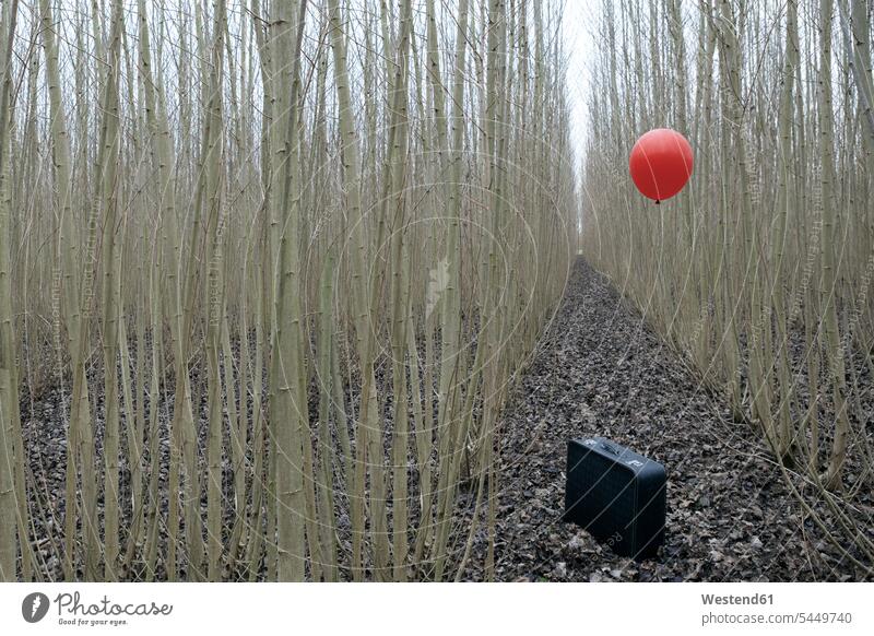Koffer mit rotem Ballon zwischen Korbweide Deutschland Fernweh Reiselust Abwesenheit menschenleer abwesend Textfreiraum Abgeschiedenheit Einsamkeit abgeschieden