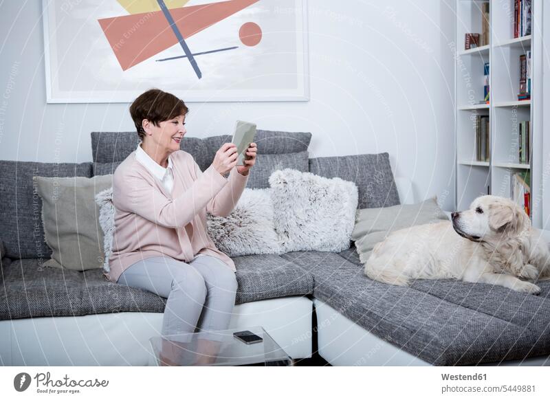Ältere Frau sitzt auf dem Sofa und fotografiert ihren Hund weiblich Frauen sitzen sitzend Tablet Tablet Computer Tablet-PC Tablet PC iPad Tablet-Computer
