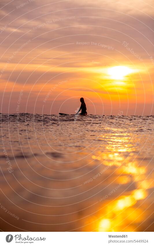 Indonesien, Bali, Surferin im Ozean bei Sonnenuntergang Frau weiblich Frauen Meer Meere Surfen Surfing Wellenreiten Erwachsener erwachsen Mensch Menschen Leute