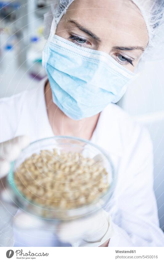 Wissenschaftlerin im Labor untersucht Getreideprobe in Petrischale Labore Probe Muster Petrischalen Korn Frau weiblich Frauen untersuchen prüfen