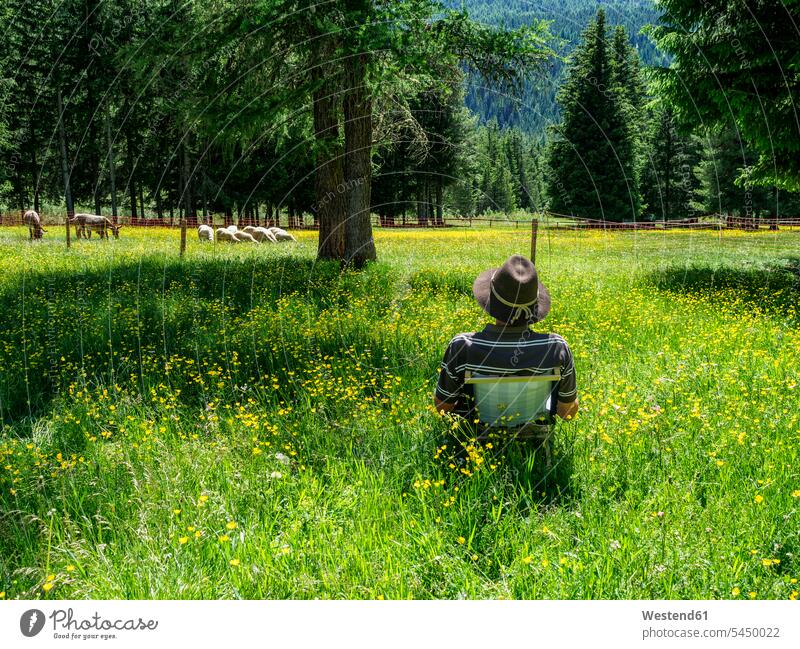 Italien, Lombardei, Stilfserjoch-Nationalpark, Wanderer rastet auf der Wiese ausruhen Rast Erholung erholen Achtsamkeit bewusst Bewusstheit achtsam Genügsamkeit