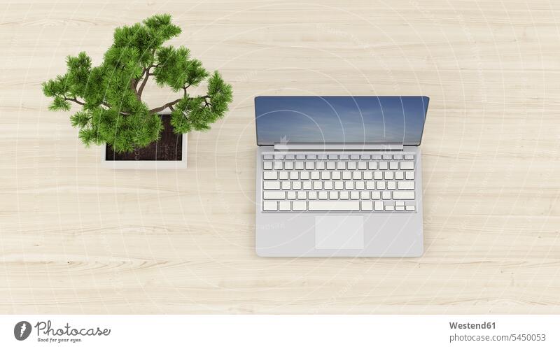 3D-Rendering, Laptop auf Schreibtisch mit Bonsai-Baum Niemand Verbindung verbunden verbinden Anschluss Notebook Laptops Notebooks Einfachheit schlicht einfach